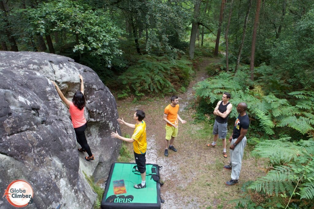 escalade forêt de Fontainebleau nature