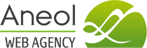 logo-aneol-web-300x99