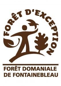 The Forest Fontainebleau Tourisme Fontainebleau Tourisme