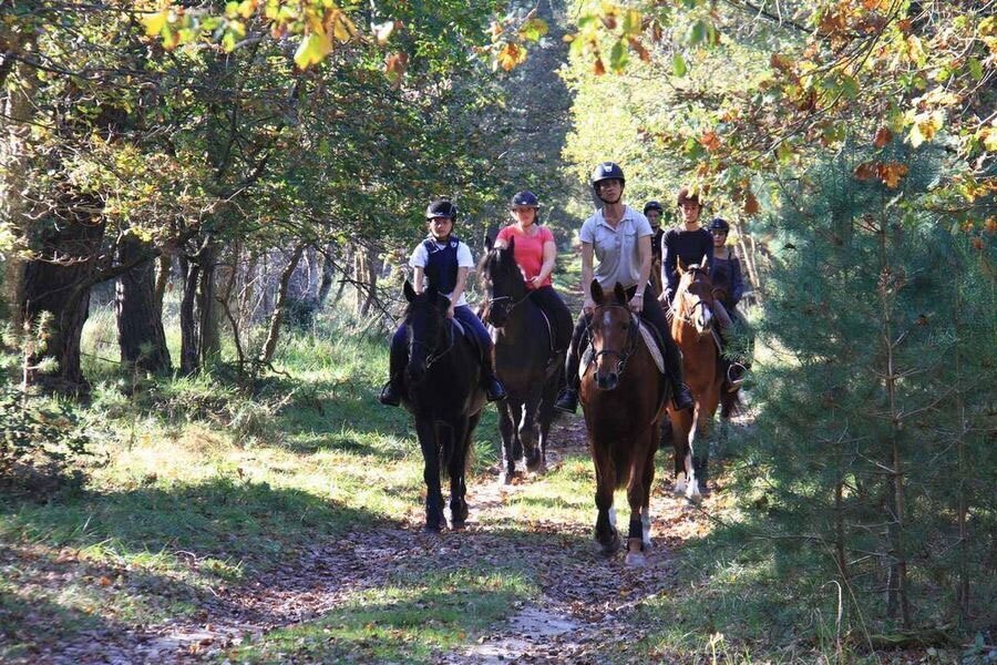 Les activités de pleine nature en forêt de Fontainebleau