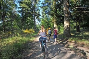 Fontainebleau forêt tourisme