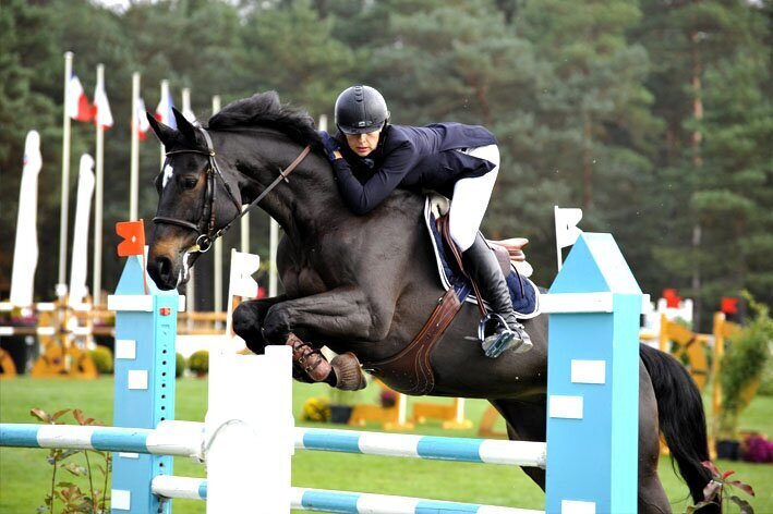 Fontainebleau Tourisme équitation