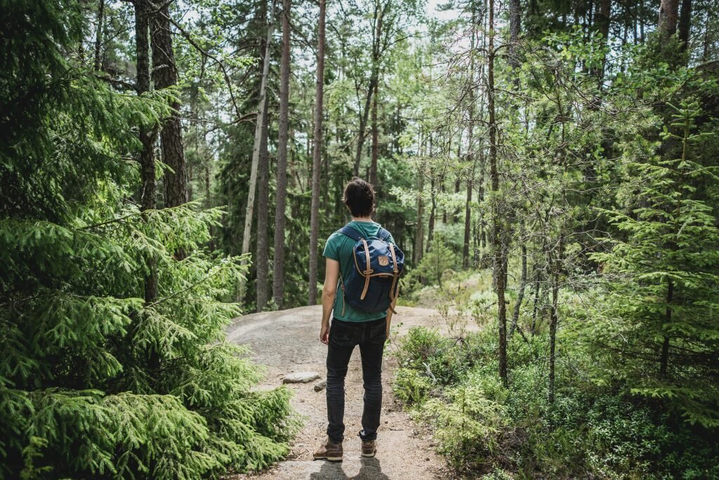 Fontainebleau hiking