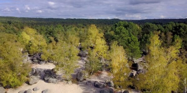 Le cul du chien, bosque de Trois Pignons