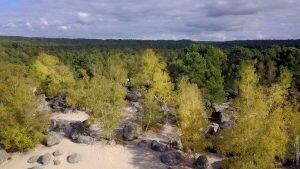 Forêt de Fontainebleau