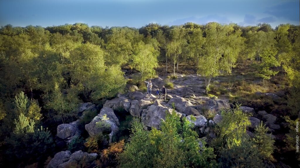 Forêt de Fontainebleau balade