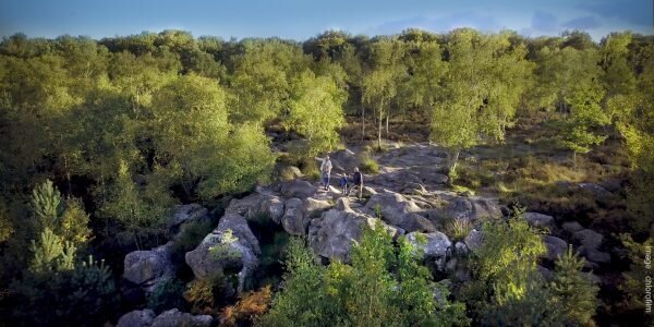 Bosque de Fontainebleau
