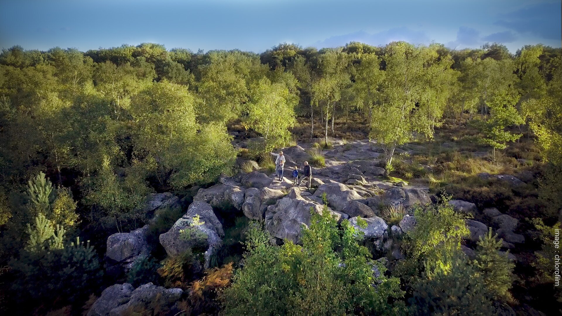 Forêt de Fontainebleau balade