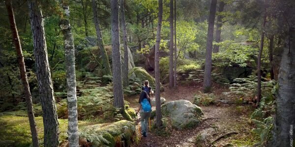 Randonnée Forêt de Fontainebleau