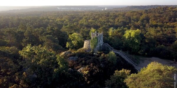 Tour Denecourt Fontainebleau Forêt