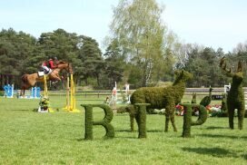 équitation compétition Fontainebleau tourisme