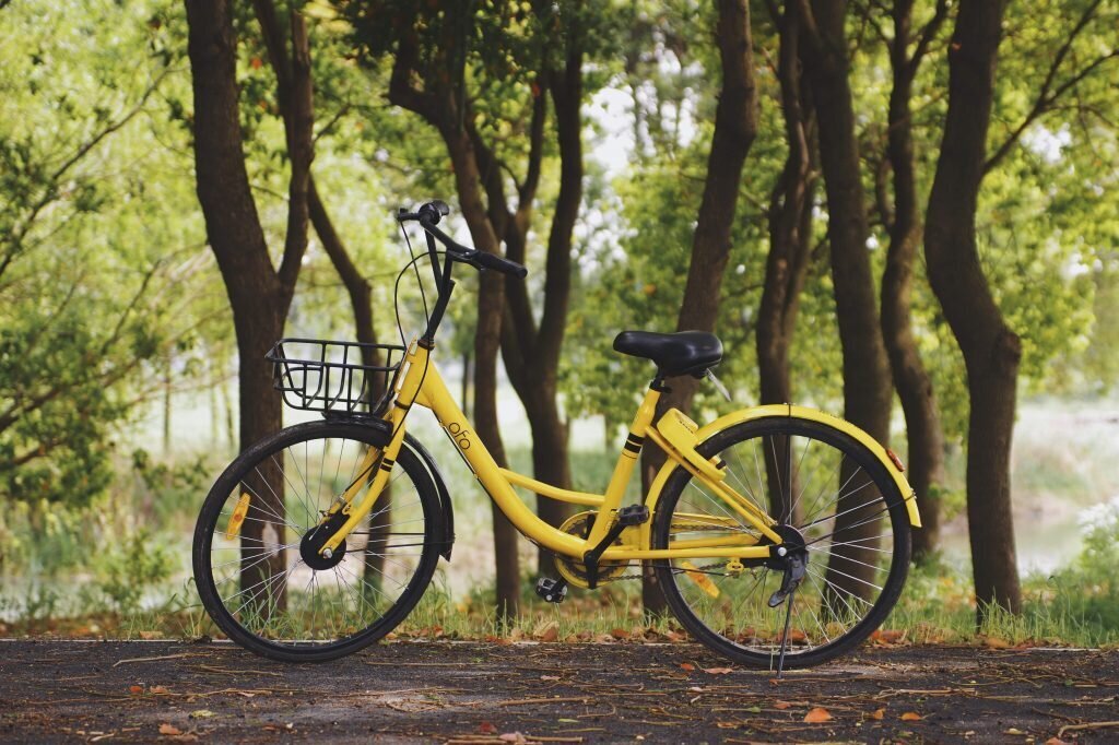 seine-et-marne vélo Fontainebleau tourisme