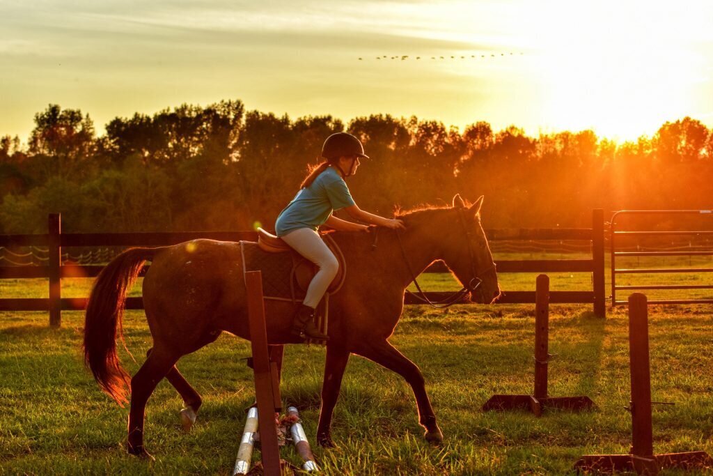 activités équitation seine-et-marne Fontainebleau tourisme