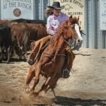 activité enfants équitation seine-et-marne
