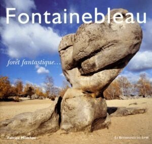 forêt fantastique