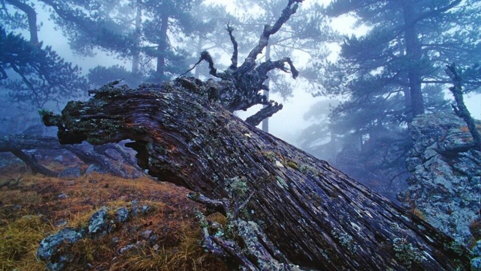 Photographie en Corse par Fabrice Milochau