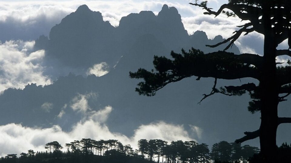 Photographie Corse Aiguilles de Bavella - Milochau