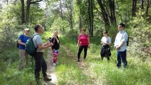 Yves Richy guide nature forêt de Fontainebleau 