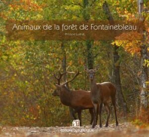 Animaux de la forêt de Fontainebleau 
