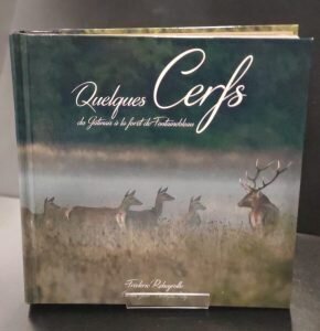 Quelques cerfs 