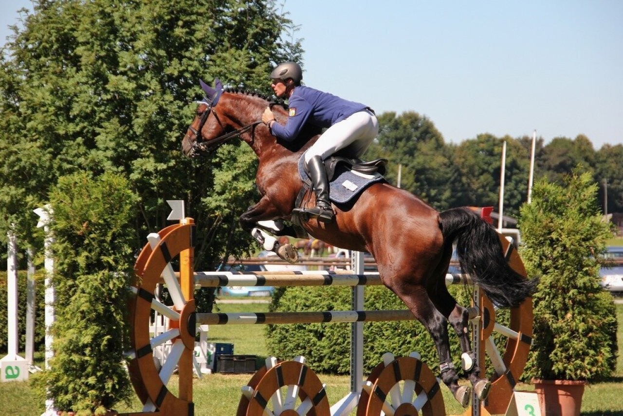 evenements_equestres_grand_parquet