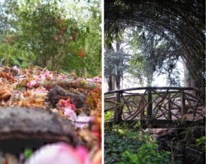Photographies réalisées par Adam et Malik / Maelle et Charlie, élèves de CM2 - École du Haut Changis d'Avon et de Montigny-sur-Loing