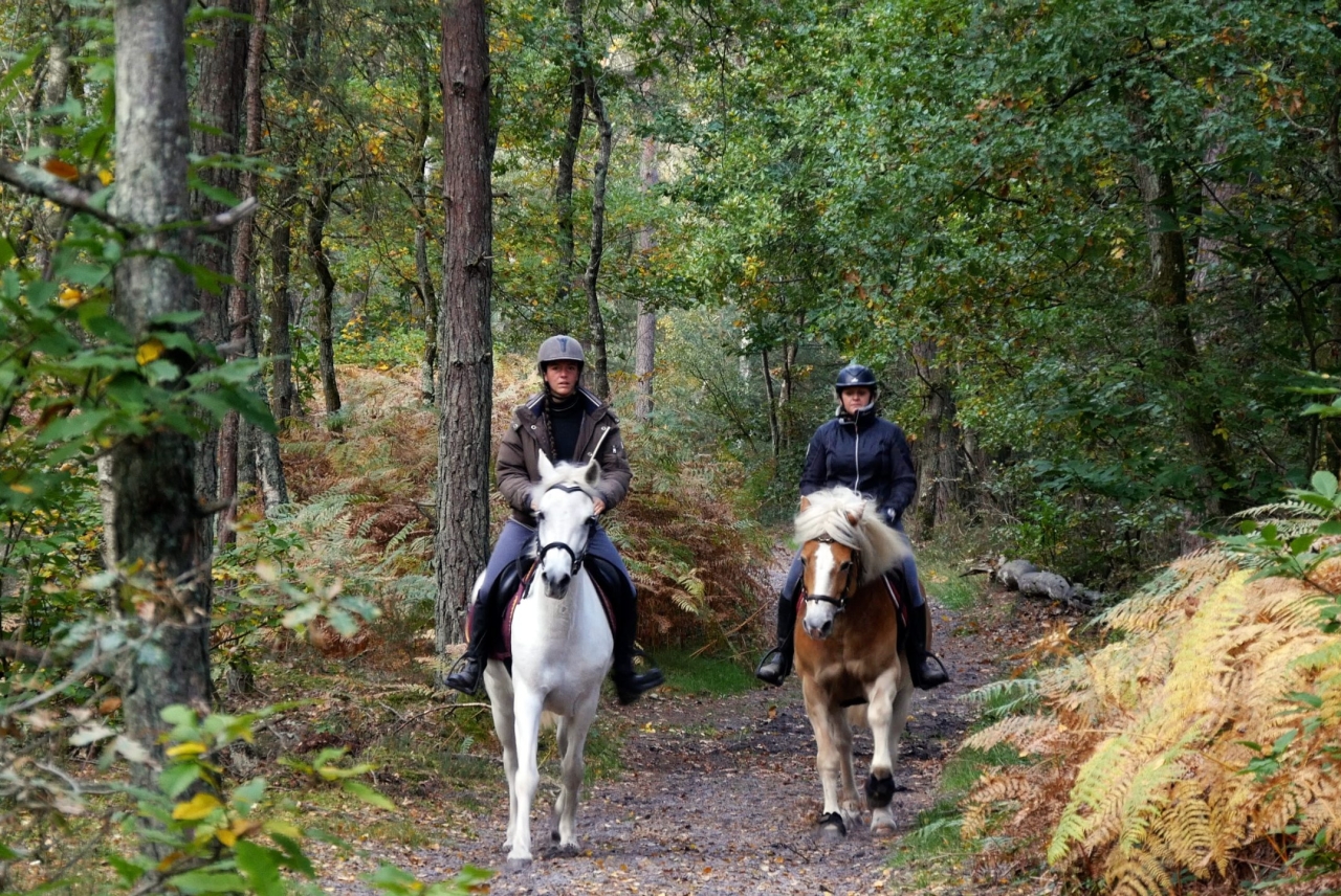 Fontainebleau Tourisme crédit photo 2018 chevaL