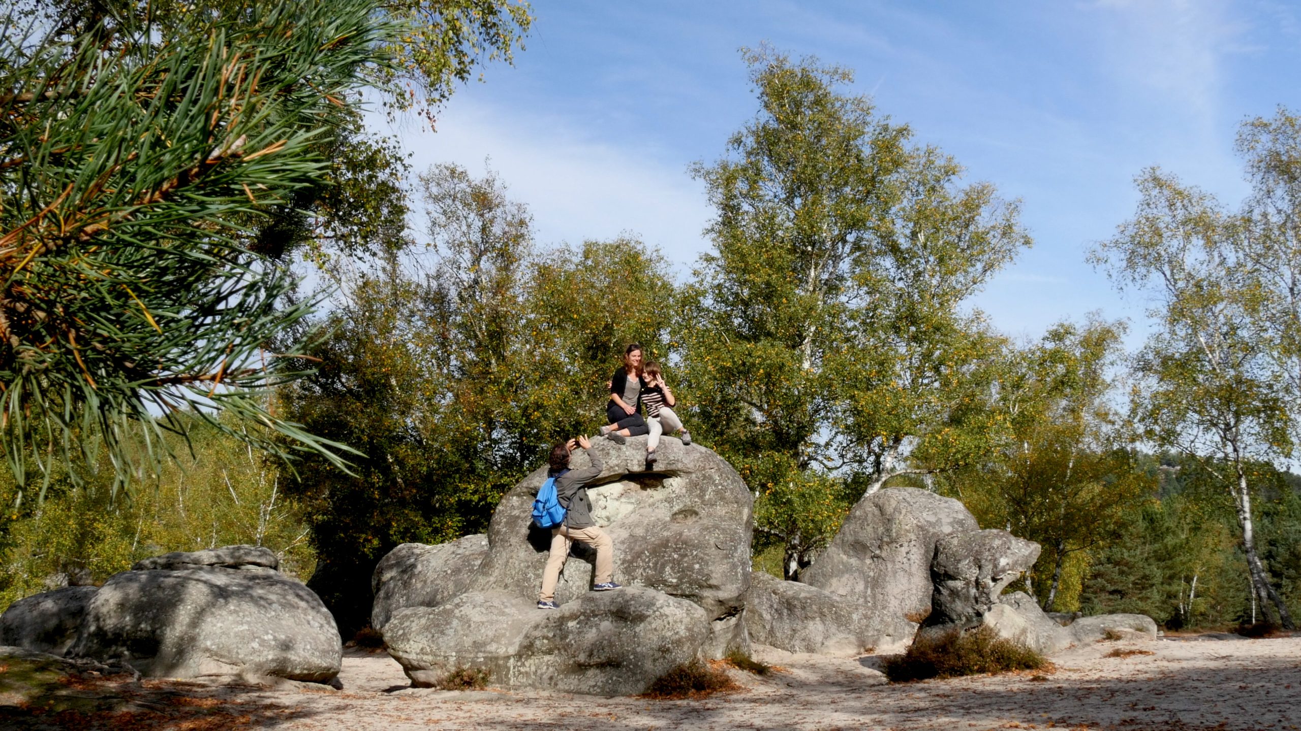 Forêt de Fontainebleau in Fontainebleau - Tours and Activities