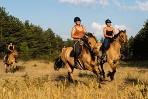 Chevauchée Equestre de pleine Nature - Henson Pays de Fontainebleau