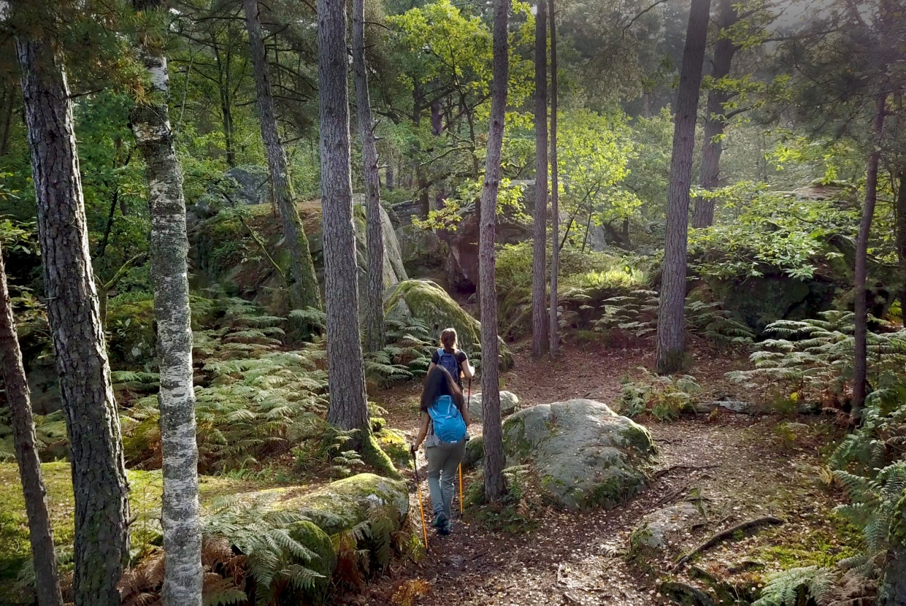 randonnée Forêt de Fontainebleau -©fontainebleautourismechlorofilm