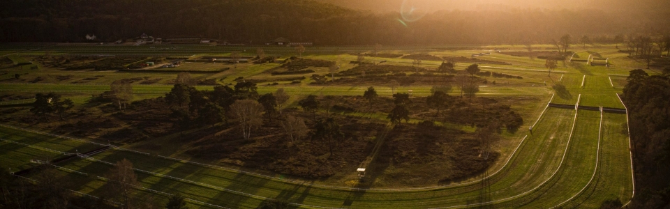 milan-camus-NQJbqQf890c-unsplash