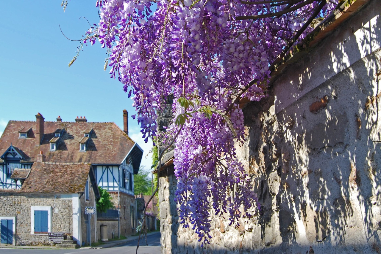 Crédit photo Fontainebleau Tourisme