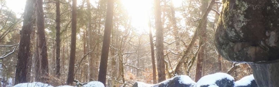 344a9dcf-a38d-4b45-bea2-c78c38300678