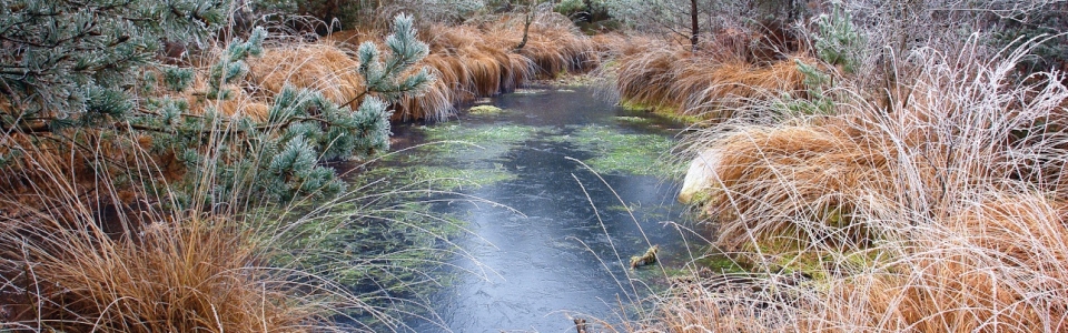 f milochau7-HDexpocompressé