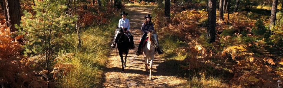 forêt équitation western face fontainebleau tourisme chlorofilm