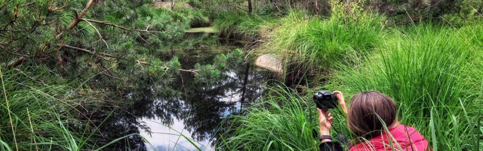 stage photo – Fabrice Milochau